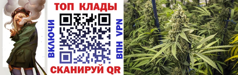 Как найти закладки Волгодонск ТГК  ОМГ ОМГ онион  МДМА  Марихуана  Cocaine  Альфа ПВП  Галлюциногенные грибы 