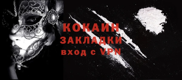 меф Ельня