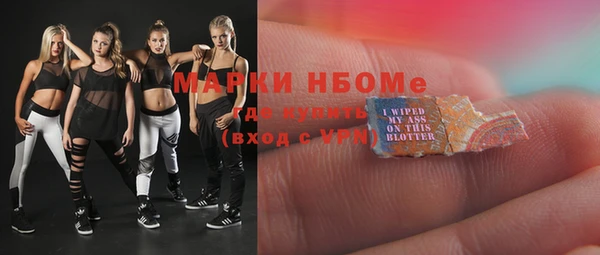 меф Ельня