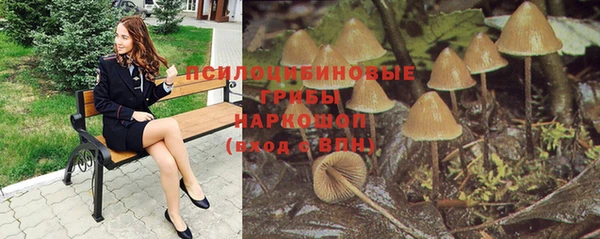 гашишное масло Дмитриев