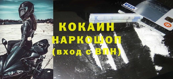 меф Ельня