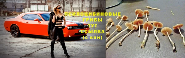 герыч Дмитров