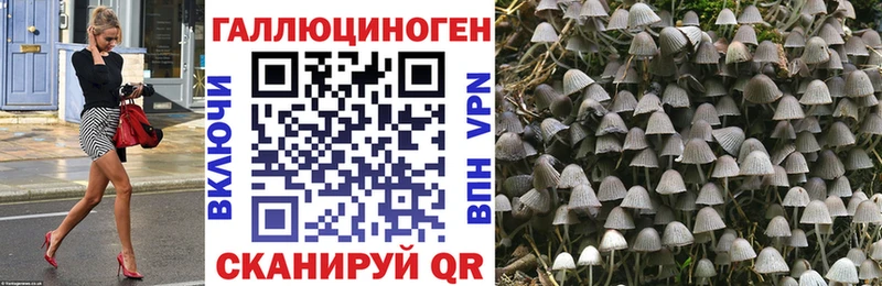 Псилоцибиновые грибы мицелий  дарнет шоп  Волгодонск 