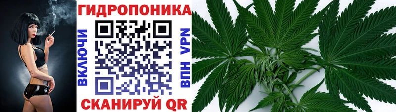 МАРИХУАНА конопля  МЕГА маркетплейс  Волгодонск 